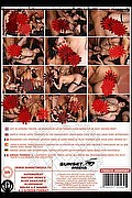 Montemarciano  Padrona Drielly Riuston Pornostar 329 3405776 foto sexystar 6